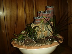 Dish Garden