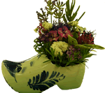 Gnome shoe with flowers