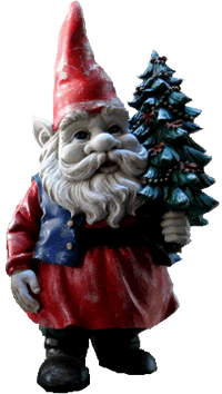 Keep your tree well watered!