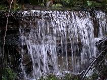Splash garden