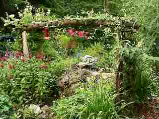 Butterfly Garden