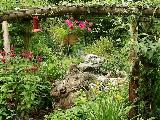 butterfly garden
