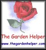 Gardening Help and Free Screensavers Too!