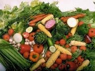 Vegetable gardening