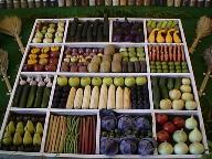 Vegetable Tray