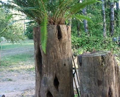 birdhouse planter