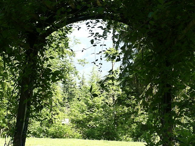 Through the arbor entry