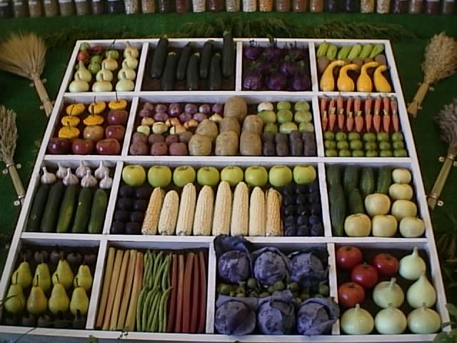 Vegetable Tray