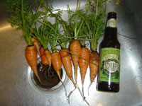 An Early Carrot Harvest