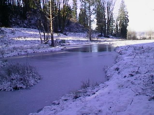 A Frozen Pond in December