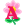 This is an annual plant or it is commonly grown as an annual This is an annual plant or it is commonly grown as an annual