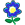 This plant produces blue flowers blue flowering plant