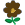 This plant produces brown flowers Brown flowering plant