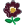 This plant produces burgundy flowers Burgundy flowering plant