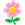 This plant produces pink flowers Pink flowering plant