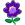 This plant produces purple flowers Purple flowering plant