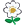 This plant produces white flowers White flowering plant