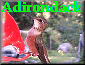 Adirondack