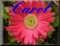 Carol