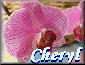 Cheryl