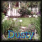 Dusty