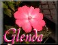 Glenda
