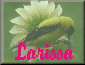 FloralGardenGeek