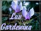 LuvGardening
