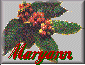 Maryann Matthews