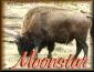 Moonstar