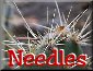 Needles4u