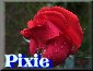 Pixie