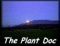 Plant Doc
