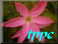 tppc