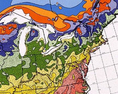 Hardiness Zone Map of the Northeastern U.S. States