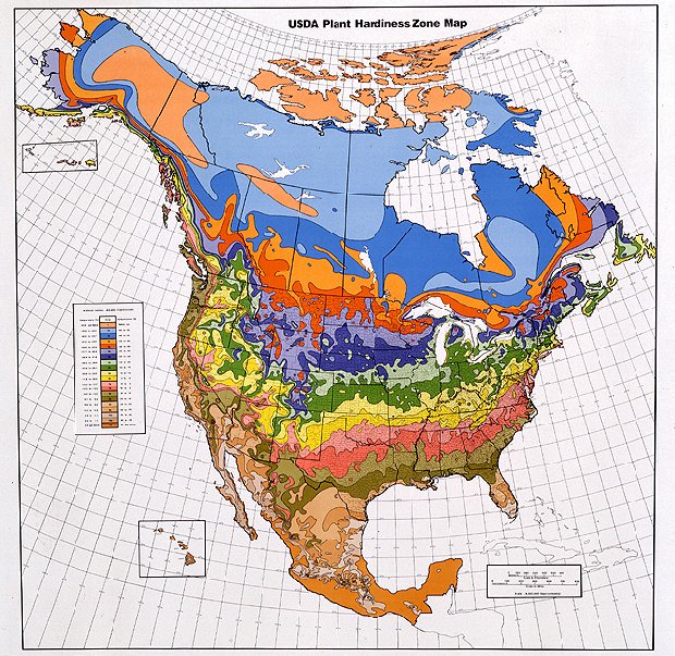 USDA Plant Hardiness Zone Map Hypertext version of USDA Hardiness Zone Map