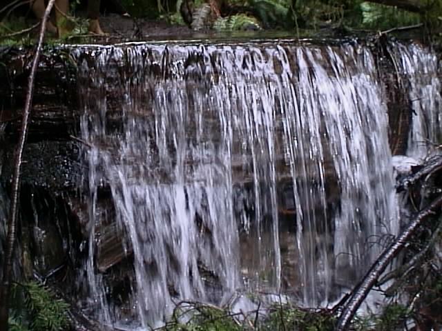 Water Flowing in the Garden