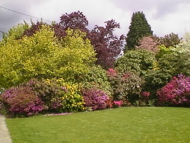 a well maintained garden