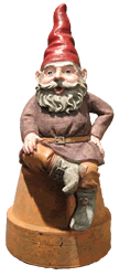 There are about 25 different species of Gnome's Ladders Angus the Garden Gnome