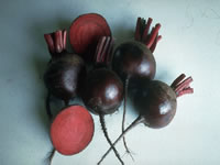 Beets, ready to cook and eat