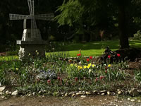 The Bulb Garden at Cedar Hill