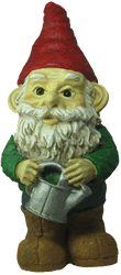 The berries of some, but not all species of Sambucus may be poisonous if ingested Clyde the Garden Gnome