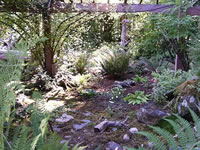 A Garden within Hummingbird House at Cedar Hill