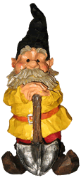 Growing annual plants is the fastest way to bring color to your garden Johann the Garden Gnome