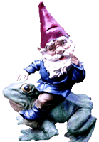 Adding goldfish to your pond will help control mosquitos. Kermit the Garden Gnome