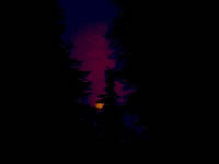 Midnight Moon over Cedar Hill