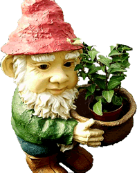 Potter the Garden Gnome