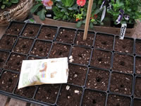 A Seed Starting Tray Filled with Potting Mix