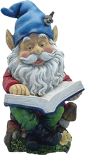 With a little imagination and planning, you can have Flowering Bulbs in bloom almost all year Shaun the Garden Gnome