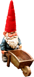 Sven: Vinca minor is a dwarf species of Periwinkle with smaller leaves and flowers Sven the Garden Gnome
